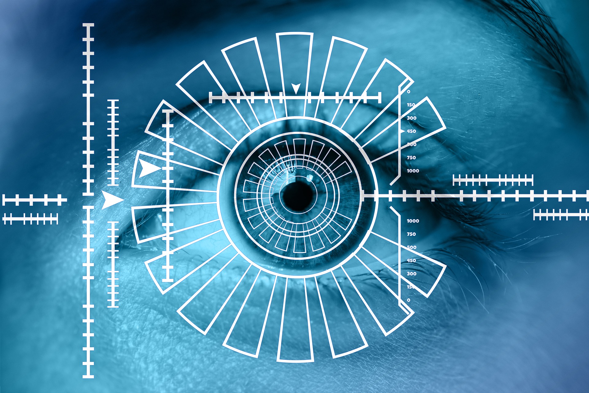 Contactless and Biometrics